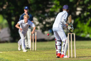 PlayFreely-cricket